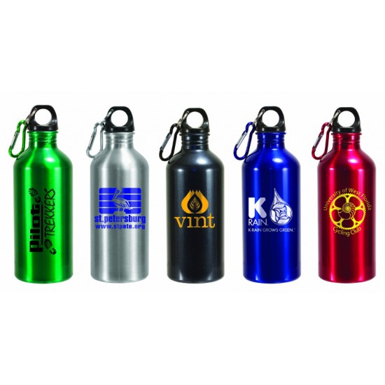 Custom Logo 22 Oz. Aluminum Trek II Bottle (Spot Color)