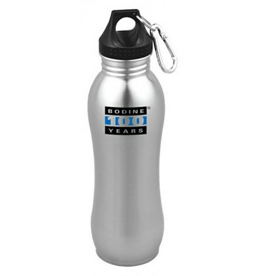 Custom Logo 22 Oz. Stainless Steel Sport Bottle w/ Carabineer